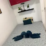 With Balcony - 250 M From The Apartment *